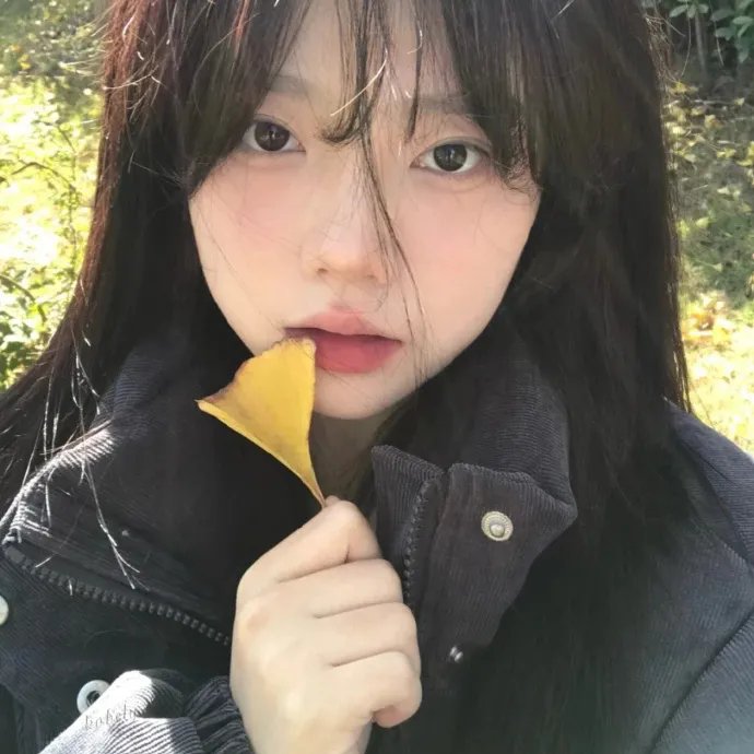新月圆花残断肠时海报